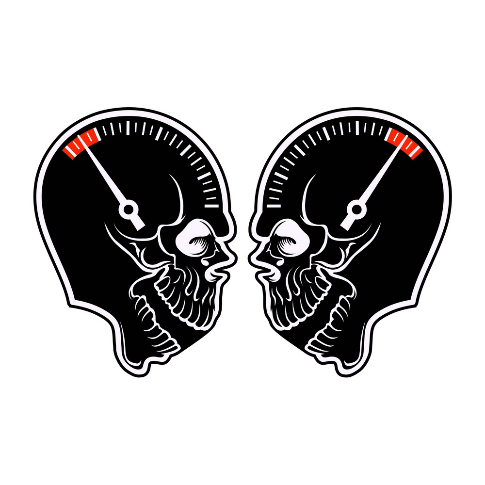 Наклейка SPEED SKULL, 8х11 см.