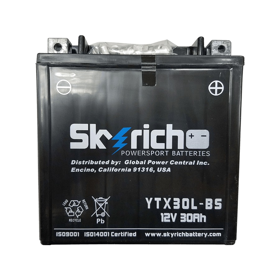 SKYRICH YTX30L-BS - аккумулятор