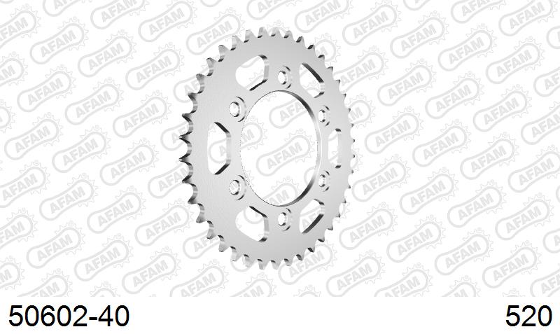 AFAM 50602-40 - звезда приводная ведомая (JTR735.40)